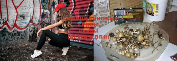 ECSTASY Беломорск