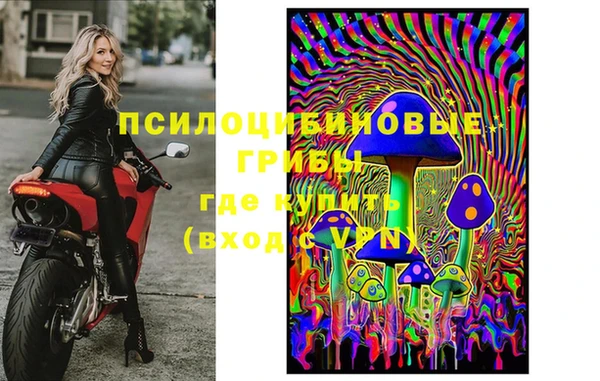 mdpv Белокуриха