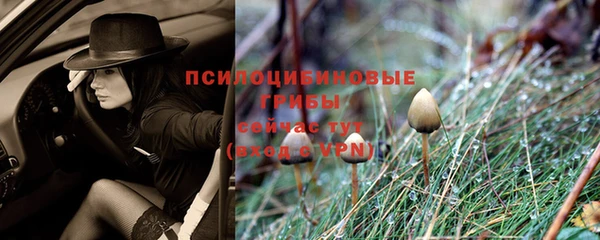 мяу мяу мука Белоозёрский