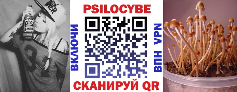 где купить наркоту  Саяногорск  Галлюциногенные грибы ЛСД 
